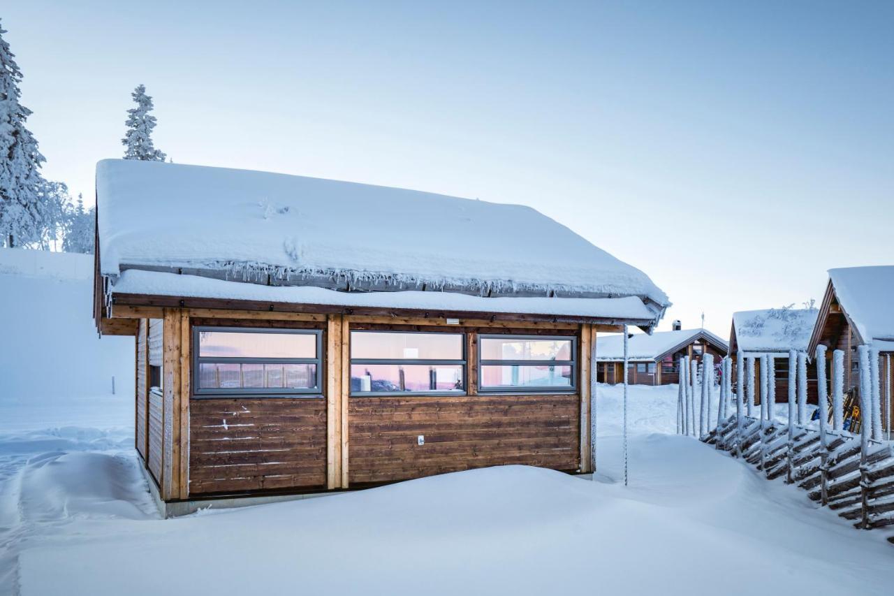Villa Liapark Ål Exterior foto