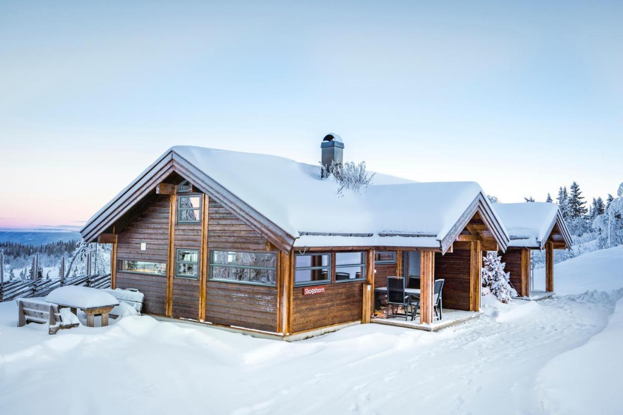 Villa Liapark Ål Exterior foto