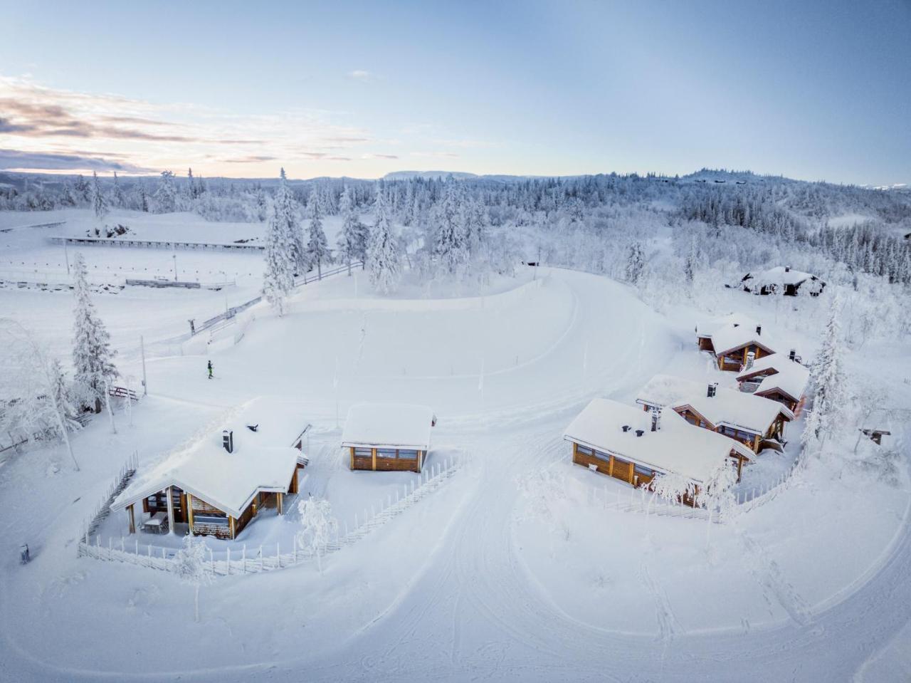 Villa Liapark Ål Exterior foto